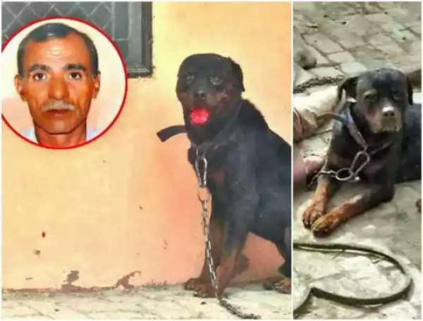 Dog Kills Owner, Feasts On His Body As Helpless Police Watch In Horror (Disturbing Photos)